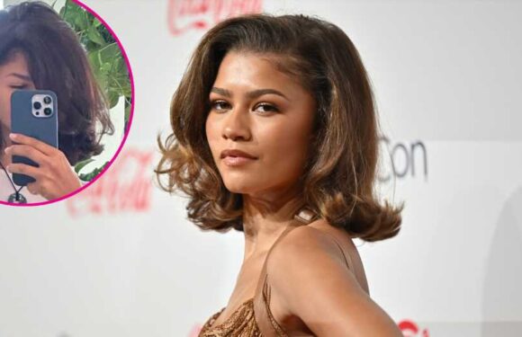 Zendaya Shows Off Her Bouncy Hair 'Refresh'