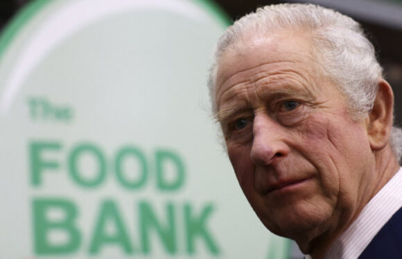 ‘Informed choices’: King Charles launches project to tackle food waste