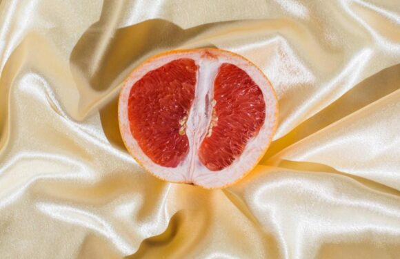 'Conversation with no obligation': What it takes to run a legal brothel