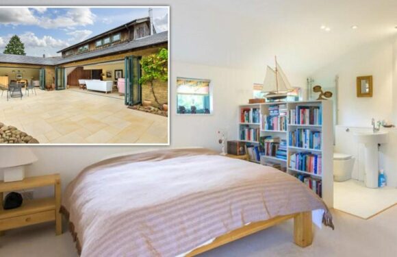 'Open-plan pooing': House for sale at £650,000 features 'en-suite' with no walls