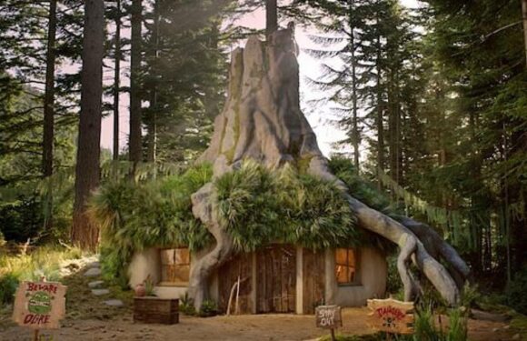 'What are you doing in my swamp?!' – you can now stay in a Shrek AirBnb