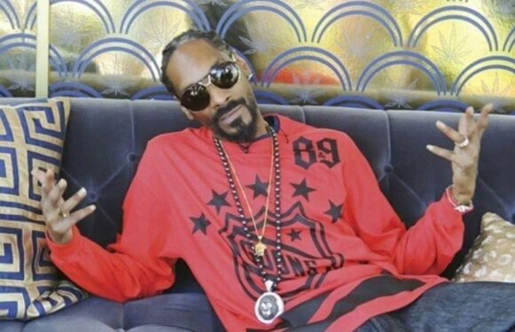 A Look At The Many Business Ventures Of Snoop Dogg