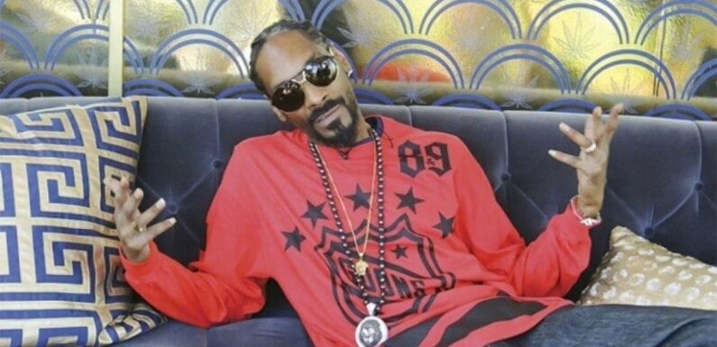 A Look At The Many Business Ventures Of Snoop Dogg