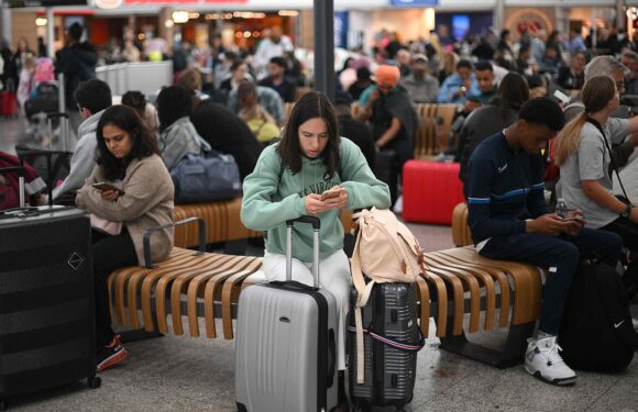 Air traffic control system failure was 'one in 15m' event, expert says