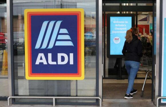 Aldi is selling a Baileys dupe that tastes just like Caramilk – shoppers are going wild for it | The Sun