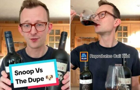 Aldi’s dupe of Snoop Dogg’s fancy red wine costs just £9.99 – but does it taste better? | The Sun