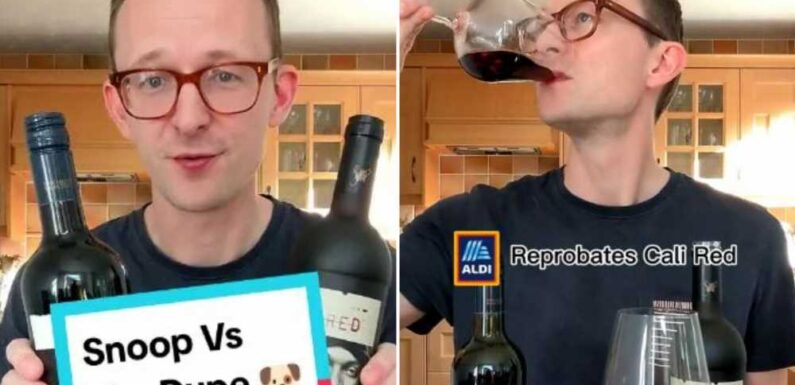 Aldi’s dupe of Snoop Dogg’s fancy red wine costs just £9.99 – but does it taste better? | The Sun