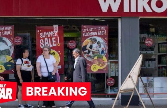 All 400 Wilko stores to close next month as chain rescue attempt falls through