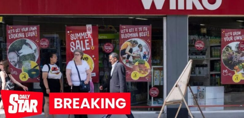 All 400 Wilko stores to close next month as chain rescue attempt falls through