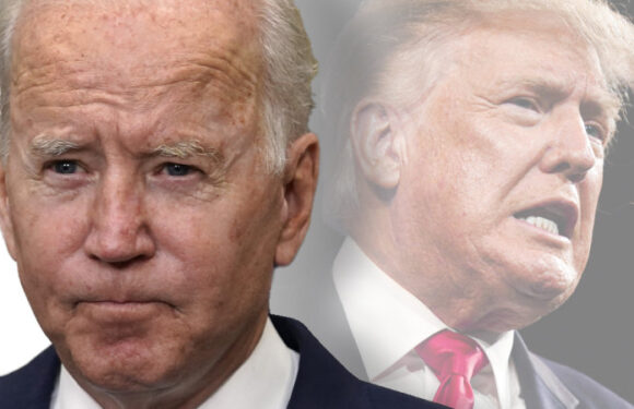 America faces a woeful choice between criminality and senility