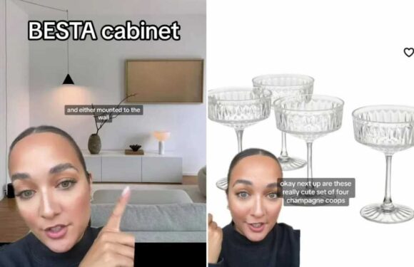 An interior designer shares the best buys from IKEA – including the viral champagne coupes priced at £3 | The Sun