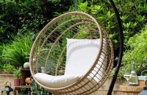 Argos shoppers rush to buy ‘comfortable’ £300 hanging egg chair now scanning at a much reduced price | The Sun