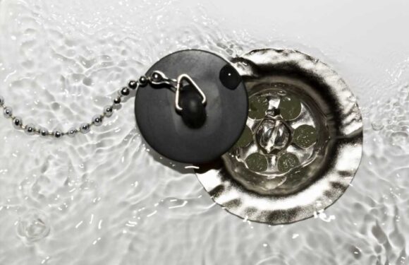 Baby first aid experts share harrowing reason you should always keep bath plugs out of the way of children | The Sun