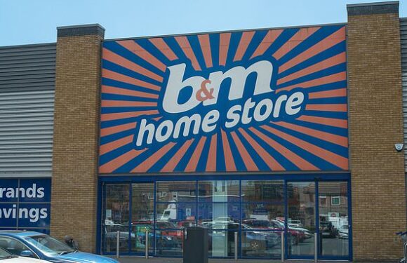 B&M agrees to buy up to 51 Wilko stores for £13million