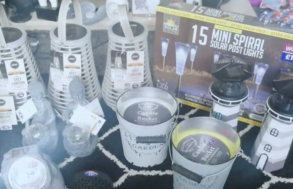 B&M shoppers bag £135 worth of gardening goodies for just £30 – but you'll need to be quick | The Sun