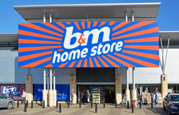 B&M shoppers rush to buy garden essential that's a great find' scanning at tills for just 10p | The Sun