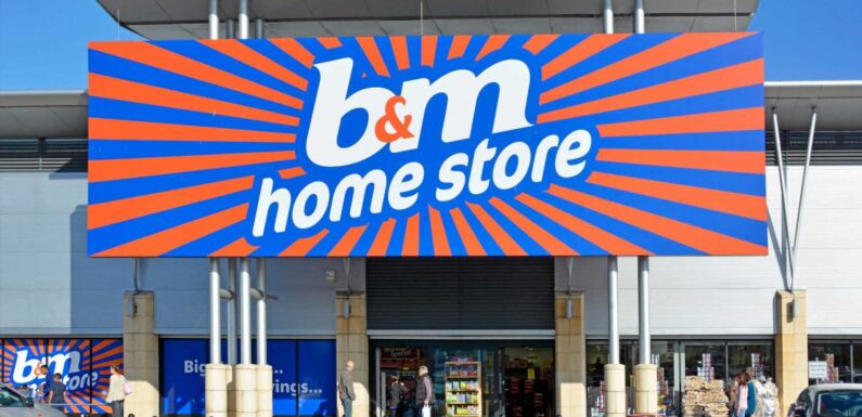 B&M shoppers rush to buy garden essential that's a great find' scanning at tills for just 10p | The Sun