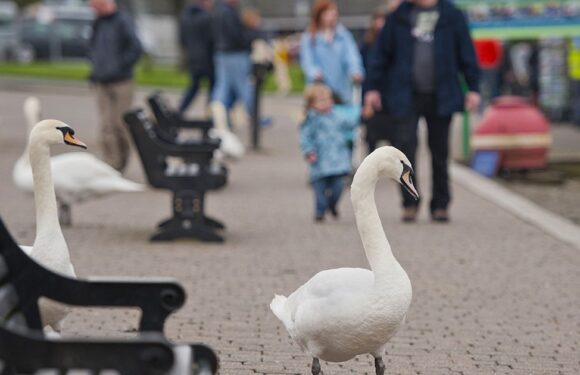 Beautiful village is ‘mini-Blackpool’ as locals fed up with brawls and druggies