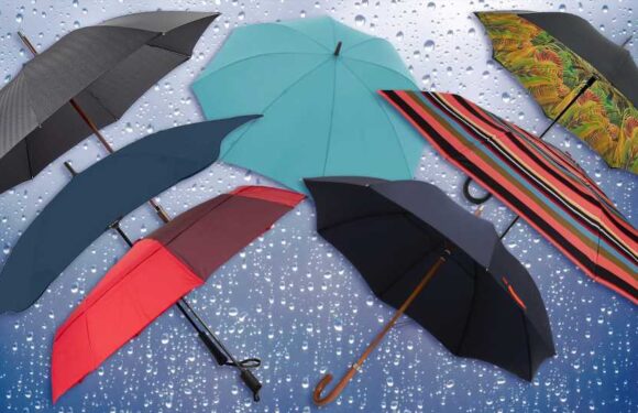 Best umbrella UK 2023, tried and tested: we braved the rain and reviewed 15 of the best brollies on the market | The Sun