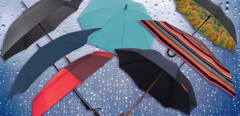 Best umbrella UK 2023, tried and tested: we braved the rain and reviewed 15 of the best brollies on the market | The Sun