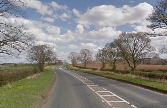 Boy and teenage girl are among three dead after cars crash into bus