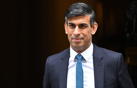 Braverman says government will put economy first with car ban delay