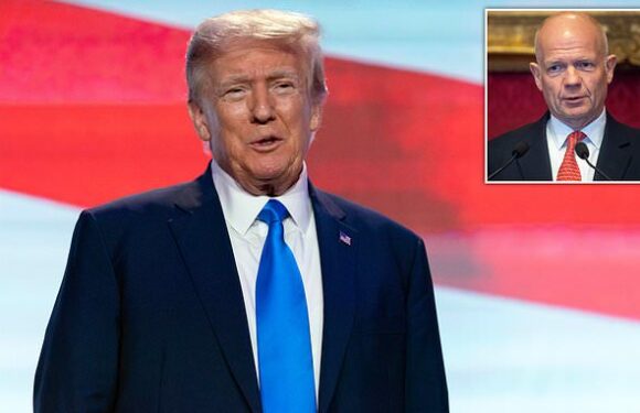 Britain 'must prepare for the trauma and chaos' of Trump winning again
