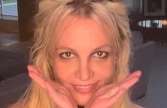 Britney Spears DELETES her Instagram after seemingly calling out fans