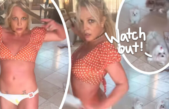 Britney Spears Fans FEAR For Her Dogs' Lives After Knife Video – As She Appears To Be Injured!