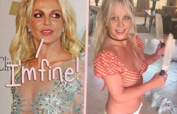 Britney Spears Visited By COPS For Welfare Check After Alarming Knife Video!