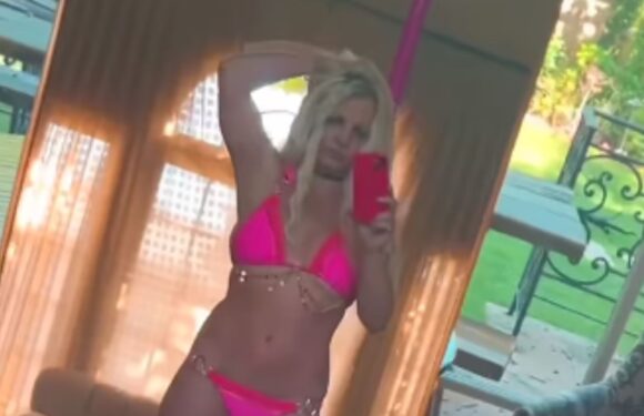 Britney Spears strips down to a pink bikini and dances on stripper pole amid bitter divorce battle | The Sun