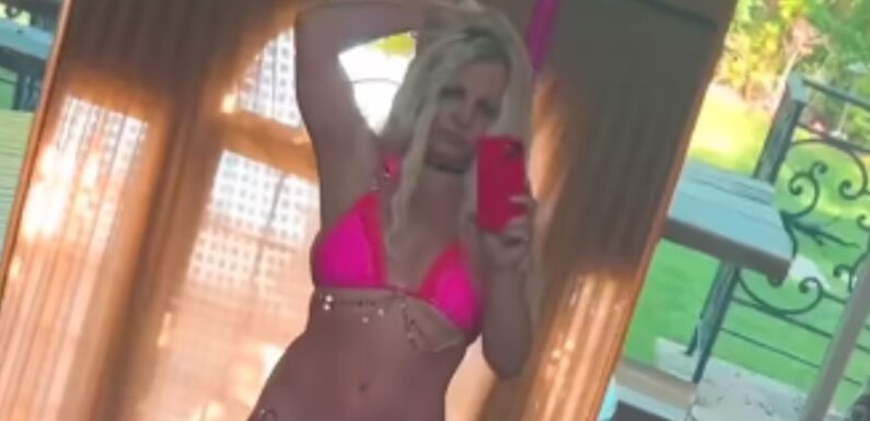 Britney Spears strips down to a pink bikini and dances on stripper pole amid bitter divorce battle | The Sun