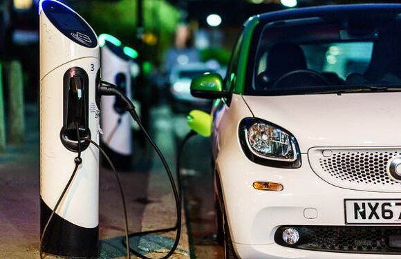 CRAIG MACKINLAY: They need to excavate streets to create EV network