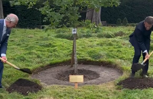 Charles and Macron echo Queen by planting tree in Paris