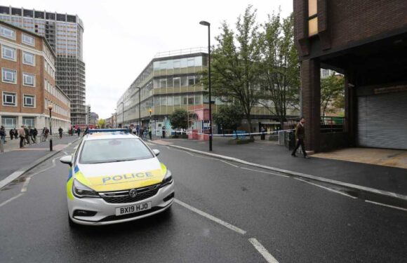 Croydon stabbing: Man knifed just hours after vigil for tragic Elianne Andam, 15, held barely half a mile away | The Sun