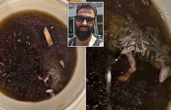 Customer claims he found a 'twitching' MOUSE in his Chinese takeaway