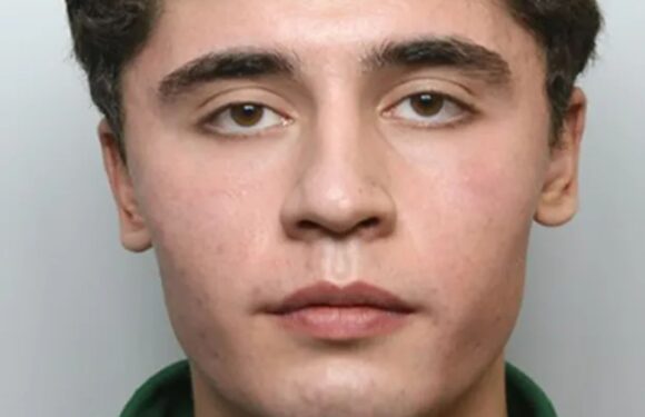 Daniel Khalife cops probe if prison guard helped 'terrorist' escape – as it's revealed he may have burns on his face | The Sun