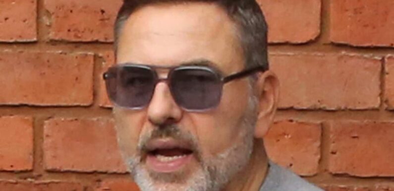 David Walliams is seen first time since suing BGT
