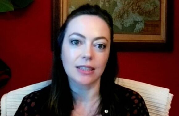 Dogs Trust expert says ‘all dogs can bite’ as they slam Bully XL ban plans