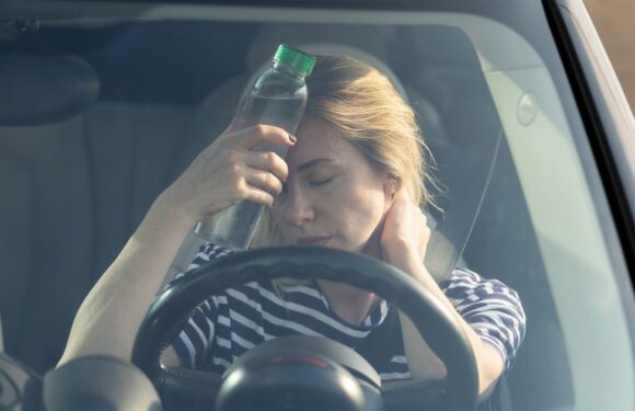 Drivers can use little-known button to cool car down instantly and save fuel