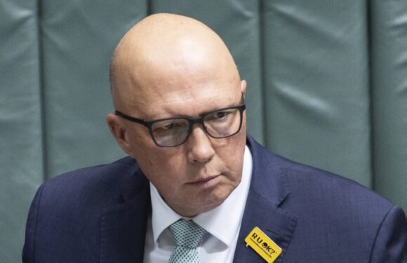 Dutton rules out putting money towards treaties if Voice voted down