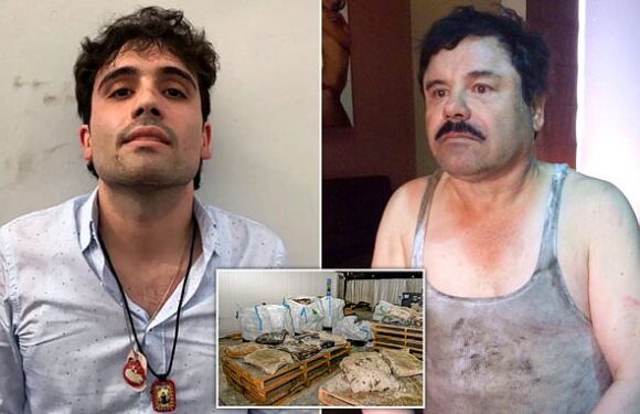 El Chapo's son Ovidio Guzman Lopez is extradited from Mexico to US