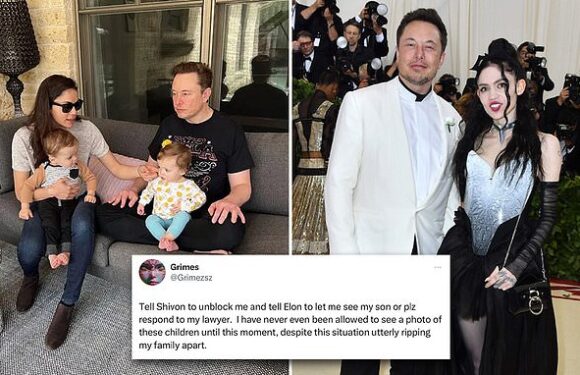 Elon Musk's ex Grimes 'begs billionaire's to let her see their son X'
