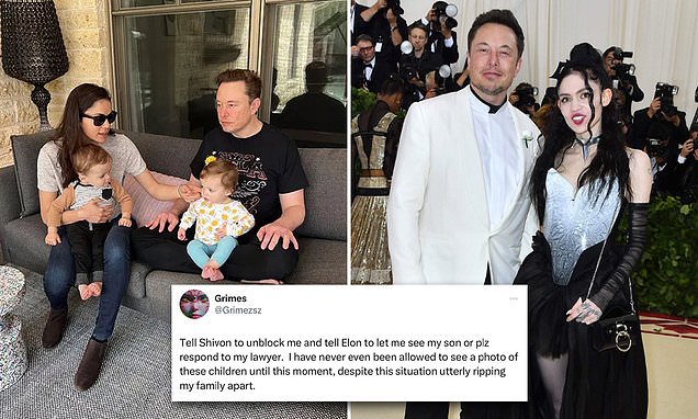 Elon Musk's ex Grimes 'begs billionaire's to let her see their son X'