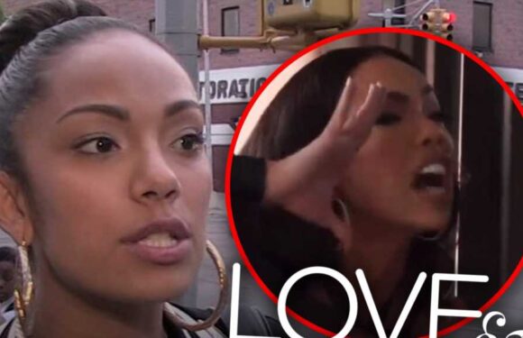 Erica Mena Fired from 'Love & Hip Hop' After Monkey Comment