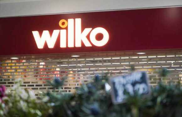 Exact date 10 first Wilko stores will REOPEN as Poundland in days – is your local area getting one? | The Sun