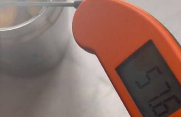 Expert issues a warning to parents who chuck in chicken nuggets for school packed lunches & explains why it's a bad idea | The Sun