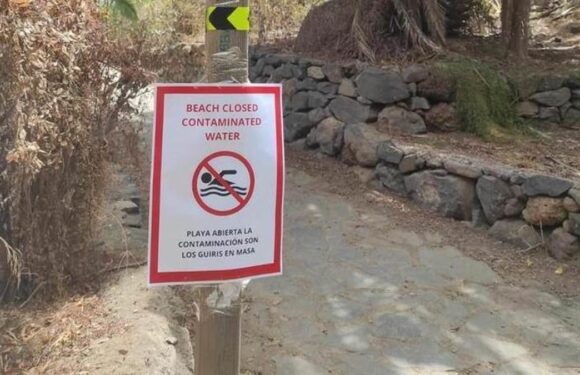 Fake signs scaring tourists away from Canary Islands beaches