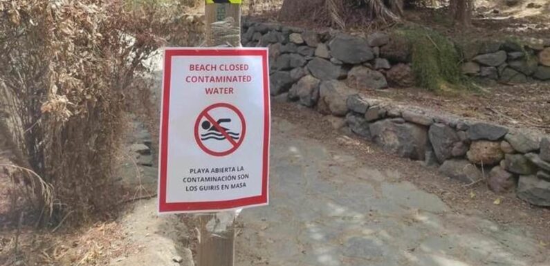 Fake signs scaring tourists away from Canary Islands beaches