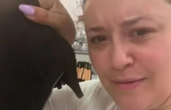 Fashion fans are horrified by the £23 kitten heels in Matalan’s new range – some reckon it's giving major 'nan' vibes | The Sun